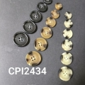 CPI2434