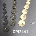CPI2441