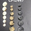CPI2447