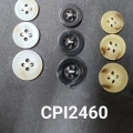 CPI2460