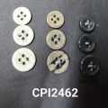CPI2462