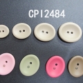 CPI2484