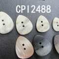 CPI2488