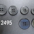 CPI2495