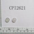 CPI2621