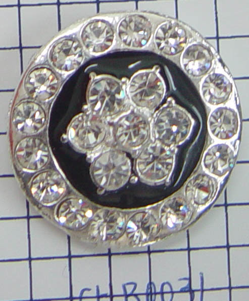 CHB0031