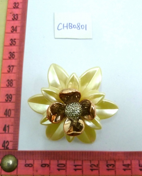 CHB0801