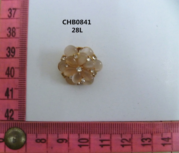 CHB0841