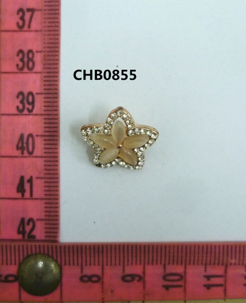CHB0855