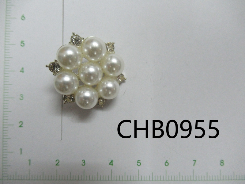 CHB0955