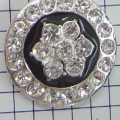 CHB0031