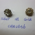 CHB0636