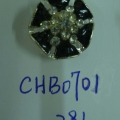 CHB0701