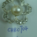 CHB0704