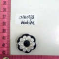 CHB0768