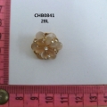 CHB0841