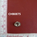 CHB0875