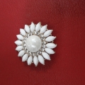 CHB0894