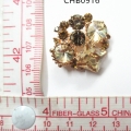 CHB0916