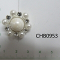 CHB0953