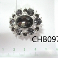 CHB0973