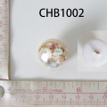 CHB1002