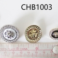 CHB1003