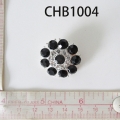 CHB1004