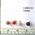 CHB1010