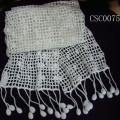 CSC0075