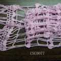 CSC0077