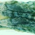 CSC0078