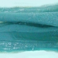 CSC0081