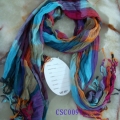 CSC0097
