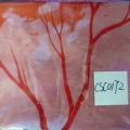CSC0172