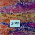 CSC0173