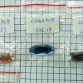 CQN0305