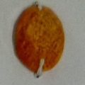 CQN1997