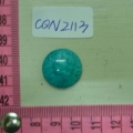 CQN2113