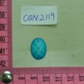 CQN2119