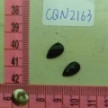 CQN2163