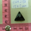 CQN2198