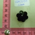 CQN2233