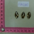CQN2247