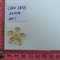 CQN2455