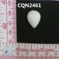 CQN2461