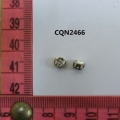 CQN2466