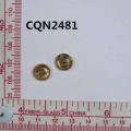 CQN2481