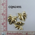 CQN2491
