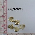 CQN2493